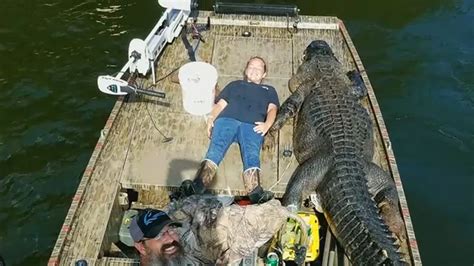 hunter catches 700 pound alligator in georgia believed to be largest ever caught in state