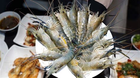 蝦控必看！新竹3間現撈泰國蝦讓你吃到爽，第1家還能任選10種料理方式活蝦吃到飽採蝦大盜食尚玩家
