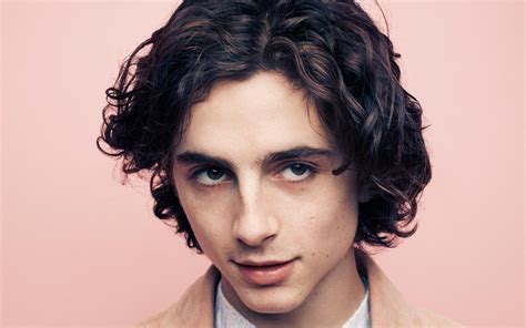 Why In Times Like These Timothée Chalamet Is The Light We Need