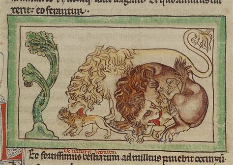 The Laudable Lion Of The Medieval Mind Getty Iris
