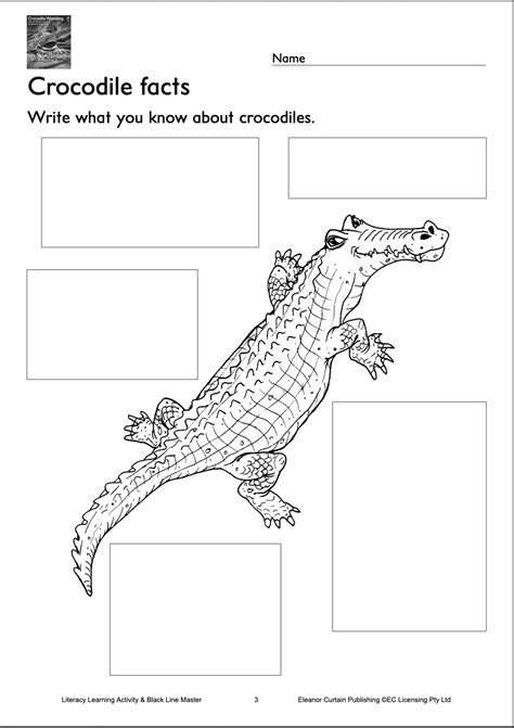 Worksheet Crocodile Facts Crocodile Facts Reading Classroom Book Week