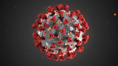 New Coronavirus Disease Officially Named Covid 19 By The World Health