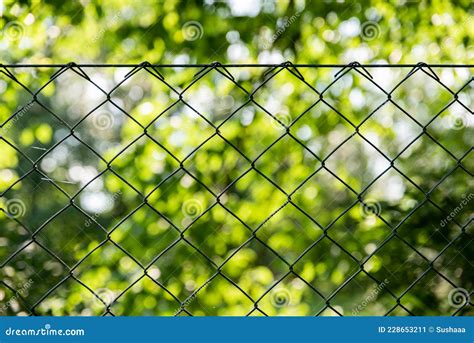 Green Stainless Fence Pvc Coated Fence Green Wire Mesh Fencing Stock