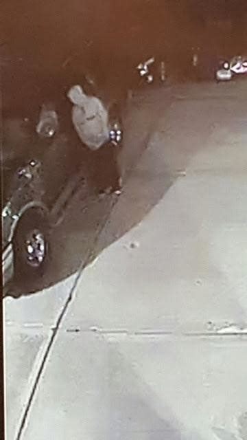 Palos Park Police Release Images Of Suspected Car Burglar Palos Il Patch