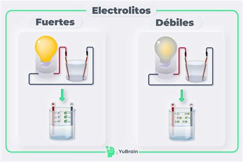 Electrolitos Fuertes Y Débiles El Agua Como Disolvente Yubrain