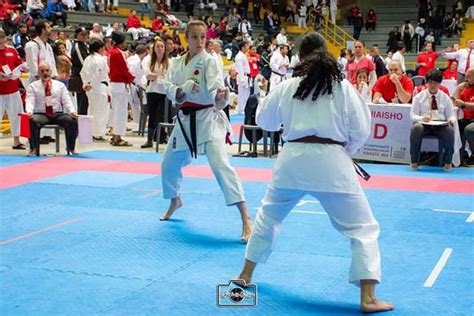 torneo panamericano de karate facultad de derecho universidad de buenos aires