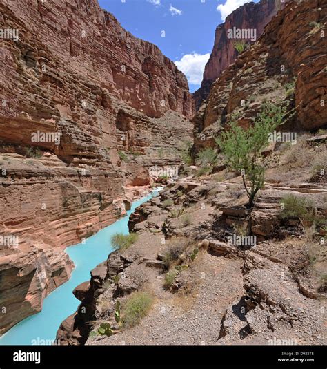 The Blue Green Water Of Havasu Creek At The Confluence With The