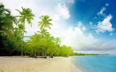 Exotic Beach Wallpapers Wallpaper Cave