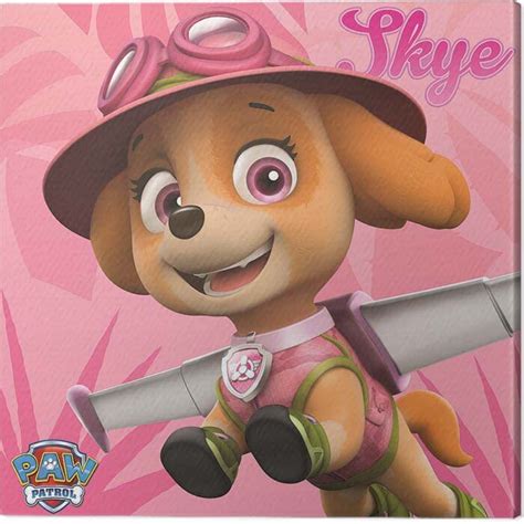 Paw Patrol Skye Ubicaciondepersonascdmxgobmx