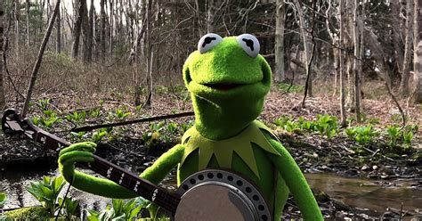 Kermit The Frog Sings ‘rainbow Connection Brings Back Heartwarming