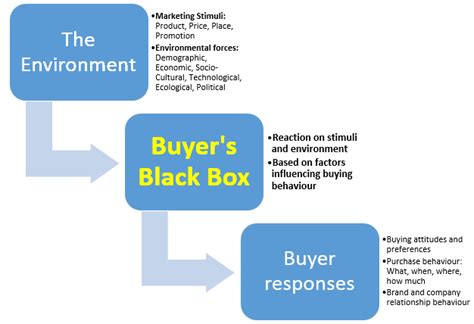 The Buyer Black Box Buyers Characteristics