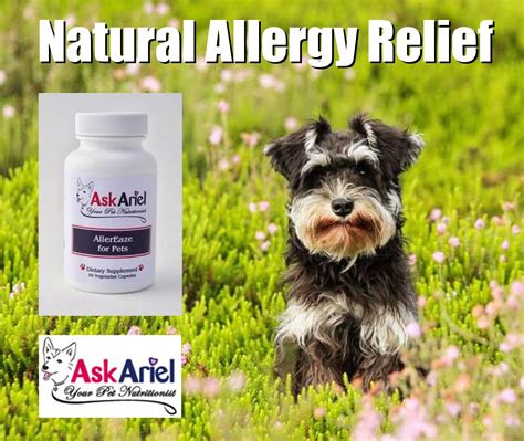 Allereaze By Ask Ariel Natural Remedy For Cat And Dog Allergies