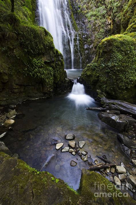 Susan Creek Falls Oregon 5 Photograph By Bob Christopher