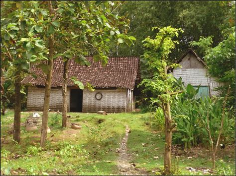 Berbagai contoh rumah minimalis 2 lantai rumah minimalis sumber : Rumah pedesaan | Semut Ireng | Flickr