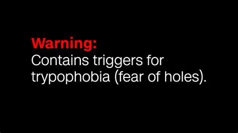 Trypophobia A Fear Of Holes