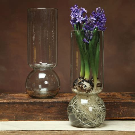Grand Bulb Vase - Recycled | Bulb vase, Bulb flowers, Vase