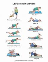 Back Muscle Exercises Home Photos