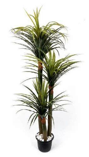 Artificial 3 Stem Yucca Plant Without Pot Height 6ft At Rs 4875