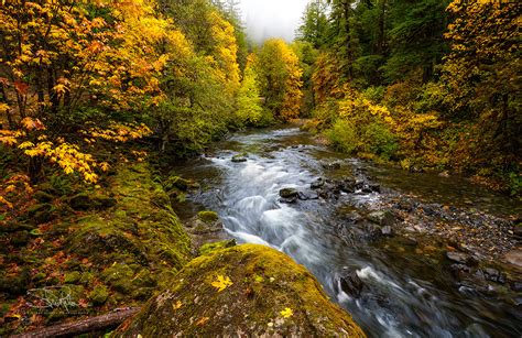 Autumn Riverscape The South Santiam River In The Willamett Flickr
