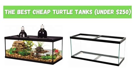 Best Turtle Tanks Turtleholic