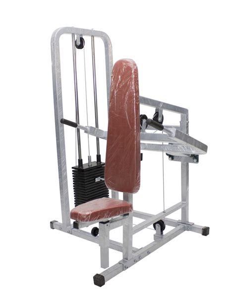 Buy Lifeline Fitness Seated Dip And Tricep Machine Online At Low Prices