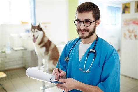 Veterinary Technician Job Description And Assisting Vet Duties