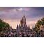 Now Or Normal Disney World In 2021 V 2022  Tourist Blog