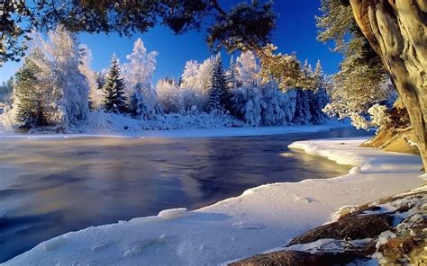Beautiful Winter Scenery Wallpapers Top Free Beautiful