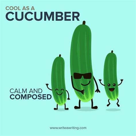 Cool As A Cucumber 🥒 The Phrase As Cool As A Cucumber Means To Be