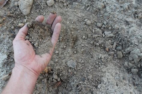 From Sand To Soil Before And After Deep Mulching The Survival Gardener