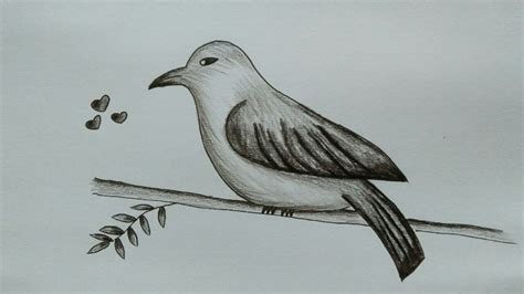Sketsa Gambar Kolase Burung