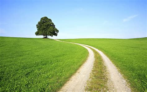 Pin 2560x1600 Landscapes Nature Trees Photography Grass Path On Pinterest