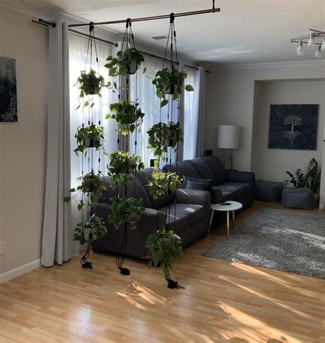 Adjustable Plant Hanger Multiple Plants Display Room Etsy Diy Home