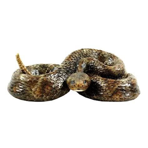 Top 10 Best Realistic Rubber Rattlesnakes Reviewed And Rated In 2022