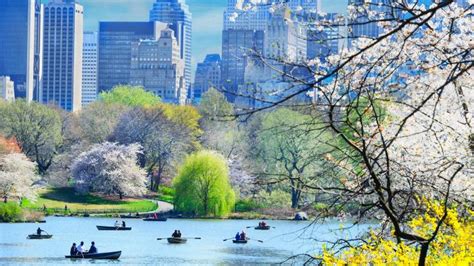 New York Ultimate City Guide Travel The Sunday Times