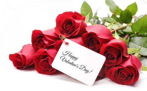 Valentines Day Roses Wallpapers Top Free Valentines Day Roses