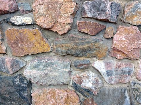 Free Photo Stone Wall Agapanthus Bspo06 Concrete Free Download