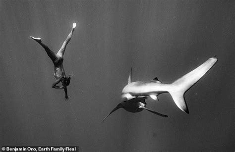 Belgian Playbabe Model Swims Naked With Man Eating Sharks Off Hawaii Sexiz Pix