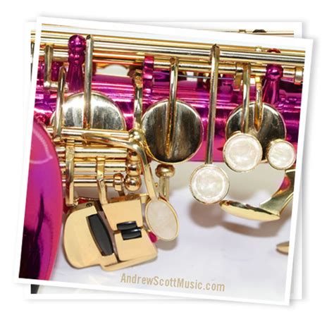 Barbie Pink And Gold Alto Saxophone Andrew Scott Music