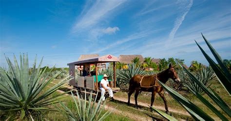 Private Guided Luxury Tour Of Mexico Yucatan Haciendas With Veloso Tours Latin America Specialists