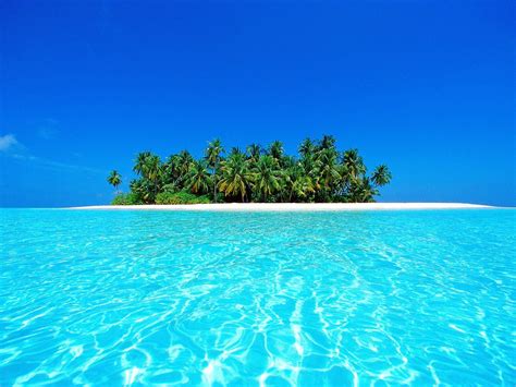 3840x2160 Resolution Coconut Trees Nature Sea Island Hd Wallpaper