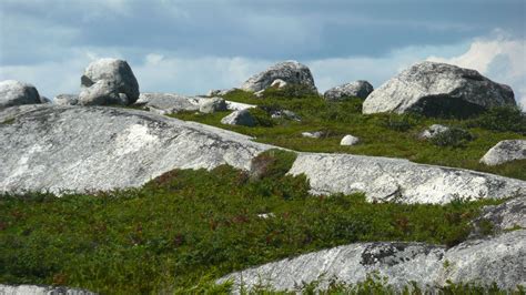 Landscape With Rocks And Grass Image Free Stock Photo Public Domain