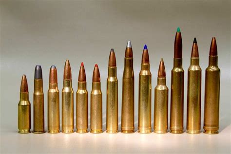 Rifle Calibers Explained A Guide To Caliber Sizes Gun News Daily