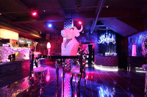 Dux Chivas Club Disco Lounge Terraza Zone Vip In Republica Dominicana