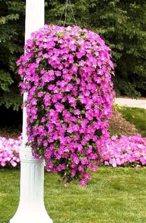 Cool 30 Beautiful Cascading Planter Ideas That Will Enhance Your
