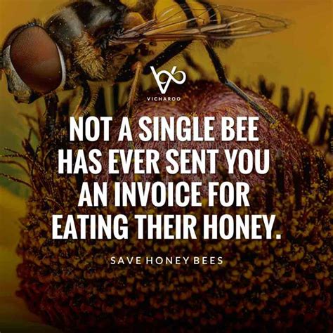 Not A Single Bee Has Ever Sent You An Invoice For Eating Their Honey