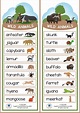 Animals Vocabulary Charts – English Created Resources