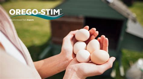 Commercial Study Orego Stim® Powder Supports Efficient Cage Free Egg