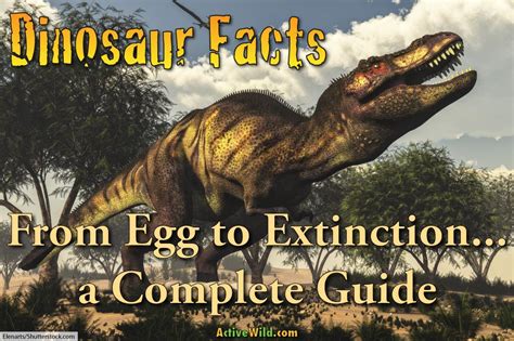 Dinosaur Periods When Were Dinosaurs Alive Information