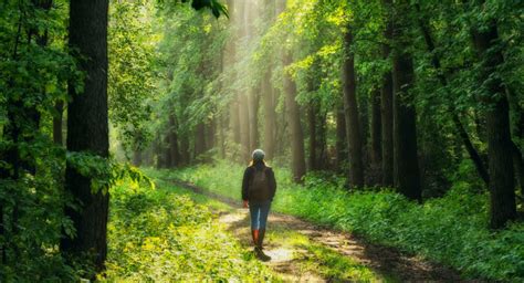 Camminare tra la natura: dove farlo e perché fa bene